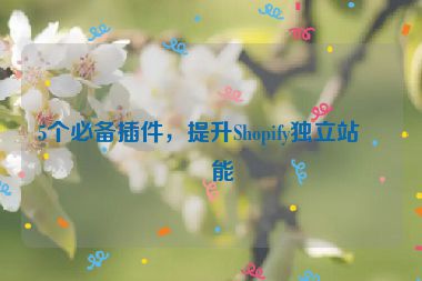 5個必備插件，提升Shopify獨立站功能