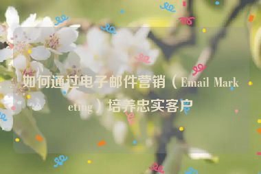 如何通過電子郵件營銷（Email Marketing）培養(yǎng)忠實(shí)客戶