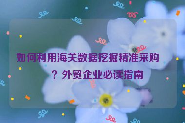 如何利用海關(guān)數(shù)據(jù)挖掘精準采購商？外貿(mào)企業(yè)必讀指南