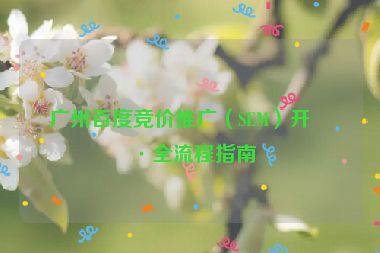 廣州百度競(jìng)價(jià)推廣（SEM）開(kāi)戶全流程指南