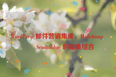 WordPress 郵件營銷集成，Mailchimp 與 Sendinblue 的完美結(jié)合