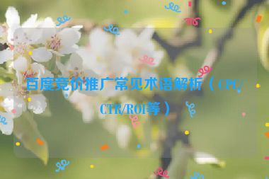 百度競(jìng)價(jià)推廣常見術(shù)語(yǔ)解析（CPC/CTR/ROI等）