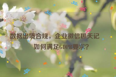 數(shù)據(jù)出境合規(guī)，企業(yè)微信聊天記錄如何滿足GDPR要求？