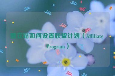獨(dú)立站如何設(shè)置聯(lián)盟計(jì)劃（Affiliate Program）