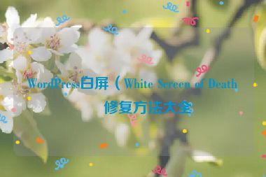 WordPress白屏（White Screen of Death）修復方法大全