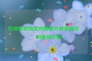 區(qū)域經(jīng)貿(mào)協(xié)定對跨境外貿(mào)電商合作的推動作用