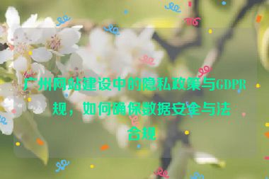 廣州網站建設中的隱私政策與GDPR合規(guī)，如何確保數據安全與法律合規(guī)