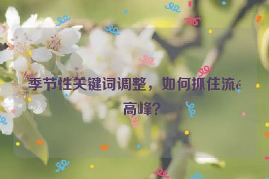 季節(jié)性關(guān)鍵詞調(diào)整，如何抓住流量高峰？
