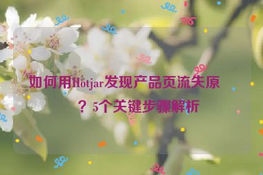 如何用Hotjar發(fā)現(xiàn)產(chǎn)品頁流失原因？5個關鍵步驟解析