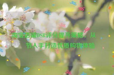淘寶店鋪DSR評(píng)分提升策略，從細(xì)節(jié)入手打造優(yōu)質(zhì)購(gòu)物體驗(yàn)