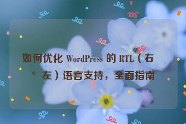 如何優(yōu)化 WordPress 的 RTL（右到左）語(yǔ)言支持，全面指南