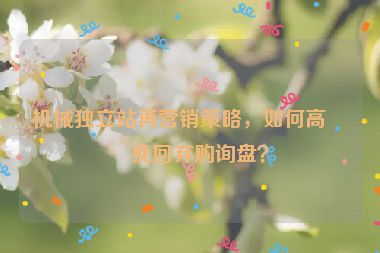 機(jī)械獨(dú)立站再營(yíng)銷策略，如何高效挽回棄購(gòu)詢盤(pán)？