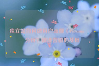 獨(dú)立站如何做用戶畫(huà)像（Persona）分析？精準(zhǔn)營(yíng)銷(xiāo)的基礎(chǔ)