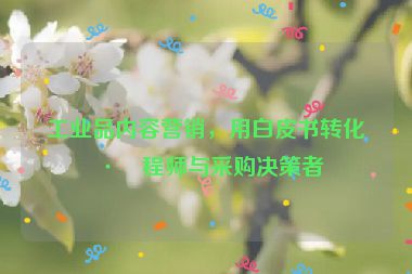 工業(yè)品內(nèi)容營銷，用白皮書轉(zhuǎn)化工程師與采購決策者