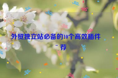 外貿獨立站必備的10個高效插件推薦