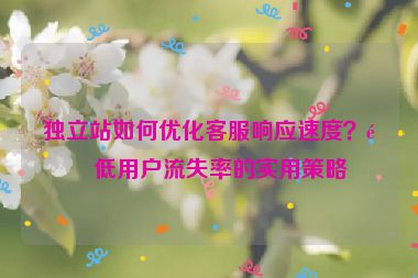 獨立站如何優(yōu)化客服響應(yīng)速度？降低用戶流失率的實用策略
