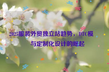 2025服裝外貿(mào)獨(dú)立站趨勢，DTC模式與定制化設(shè)計的崛起