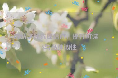網(wǎng)站字體選擇指南，提升可讀性與品牌調(diào)性