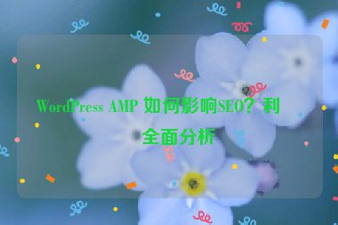 WordPress AMP 如何影響SEO？利弊全面分析