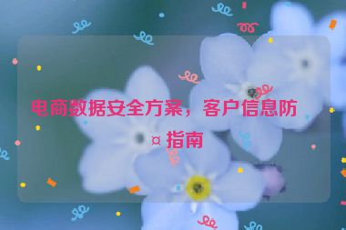 電商數(shù)據(jù)安全方案，客戶信息防護指南
