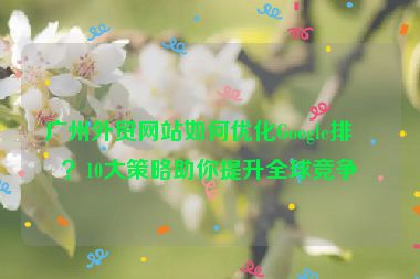 廣州外貿(mào)網(wǎng)站如何優(yōu)化Google排名？10大策略助你提升全球競爭力