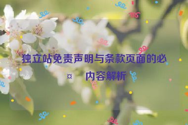 獨(dú)立站免責(zé)聲明與條款頁(yè)面的必備內(nèi)容解析