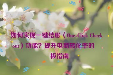 如何實(shí)現(xiàn)一鍵結(jié)賬（One-Click Checkout）功能？提升電商轉(zhuǎn)化率的終極指南