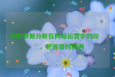 實時數(shù)據(jù)分析在網(wǎng)站運營中的應用，把握即時機遇