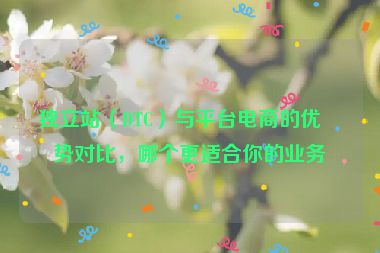 獨(dú)立站（DTC）與平臺(tái)電商的優(yōu)劣勢(shì)對(duì)比，哪個(gè)更適合你的業(yè)務(wù)？