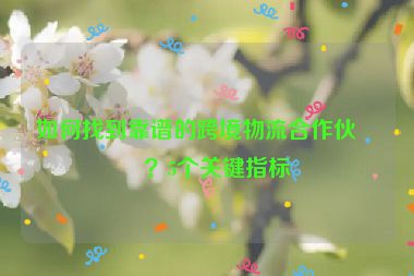 如何找到靠譜的跨境物流合作伙伴？5個(gè)關(guān)鍵指標(biāo)