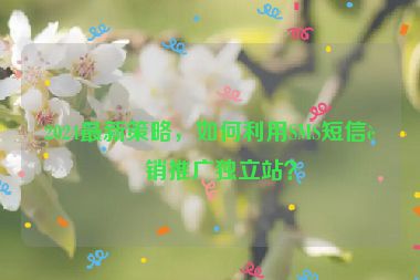 2024最新策略，如何利用SMS短信營(yíng)銷推廣獨(dú)立站？