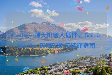 WordPress 聊天機器人插件，Tidio vs.ManyChat 深度對比與選擇指南
