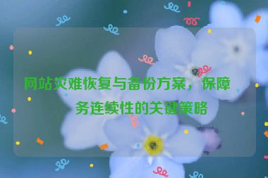 網(wǎng)站災(zāi)難恢復(fù)與備份方案，保障業(yè)務(wù)連續(xù)性的關(guān)鍵策略