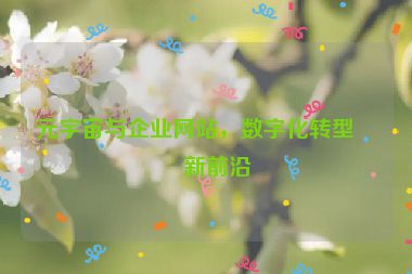 元宇宙與企業(yè)網(wǎng)站，數(shù)字化轉(zhuǎn)型的新前沿