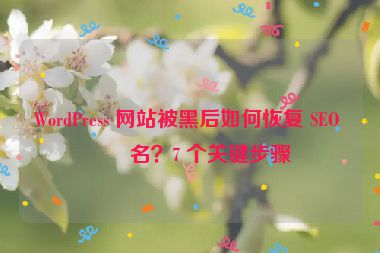 WordPress 網(wǎng)站被黑后如何恢復(fù) SEO 排名？7 個(gè)關(guān)鍵步驟