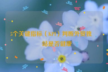 5個關鍵指標（KPI）判斷外貿獨立站是否健康
