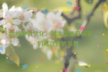地域定向優(yōu)化，精準(zhǔn)覆蓋目標(biāo)客戶的高效營銷策略