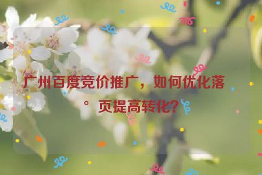 廣州百度競(jìng)價(jià)推廣，如何優(yōu)化落地頁(yè)提高轉(zhuǎn)化？