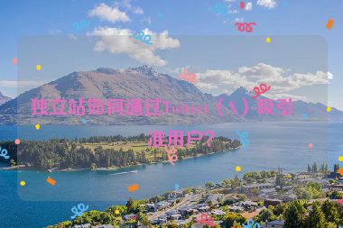 獨(dú)立站如何通過Twitter（X）吸引精準(zhǔn)用戶？