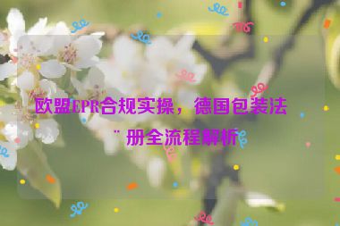 歐盟EPR合規(guī)實(shí)操，德國(guó)包裝法注冊(cè)全流程解析