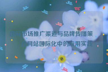 國際市場推廣渠道與品牌傳播策略在網(wǎng)站國際化中的應(yīng)用實(shí)踐