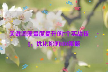 關(guān)鍵詞質(zhì)量度提升的7個實戰(zhàn)技巧，優(yōu)化你的SEO策略