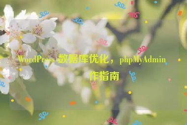 WordPress 數(shù)據(jù)庫(kù)優(yōu)化，phpMyAdmin 操作指南