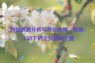 網(wǎng)站數(shù)據(jù)分析與商業(yè)決策，數(shù)據(jù)驅(qū)動下的企業(yè)增長之道
