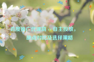 百度推廣代理商 vs 自主投放，優(yōu)缺點(diǎn)對(duì)比及選擇策略