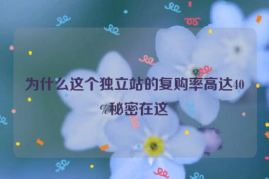 為什么這個獨立站的復購率高達40%秘密在這