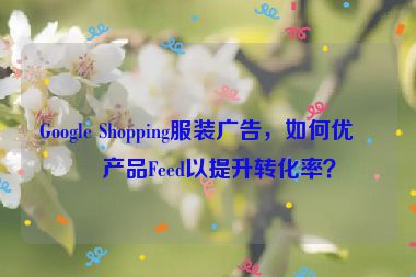 Google Shopping服裝廣告，如何優(yōu)化產(chǎn)品Feed以提升轉(zhuǎn)化率？