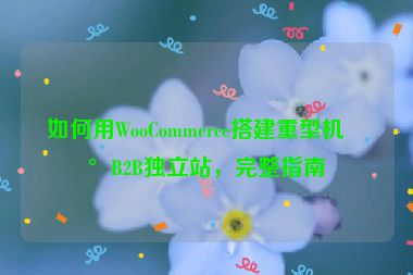 如何用WooCommerce搭建重型機械B2B獨立站，完整指南