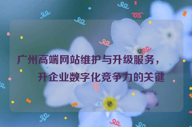 廣州高端網(wǎng)站維護與升級服務，提升企業(yè)數(shù)字化競爭力的關鍵