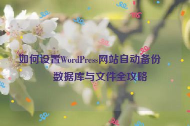 如何設(shè)置WordPress網(wǎng)站自動(dòng)備份，數(shù)據(jù)庫(kù)與文件全攻略